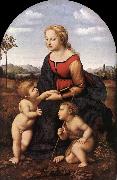 RAFFAELLO Sanzio The Virgin and Child with Saint John the Baptist (La Belle Jardinire)  af china oil painting reproduction